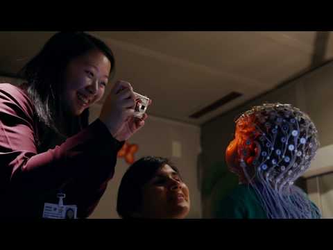 Early Childhood Development | BUILDING A BABY BRAIN THAT THRIVES