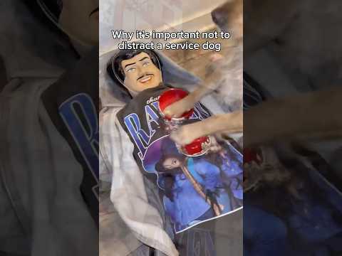 She’s so cute, she’ll blow you away😌 #funnydog #dogcomedy #dogs