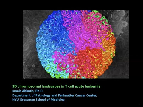 3D Chromosomal Landscapes in T Cell Acute Leukemia