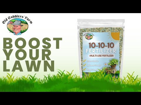 🌿 How to Use 10-10-10 Fertilizer on Your Lawn | Easy Lawn Boost Tutorial