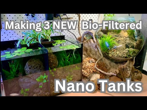 NEW Nano Tanks with DIY Bio filters