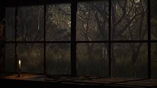 Rain on Window in a Quiet Forest | Rain Ambience & Relaxing Rain Sounds for Sleep, Study | 8 Hours
