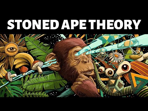 What is Stoned Ape Theory? | Terence McKenna Stoned Ape Theory Explained