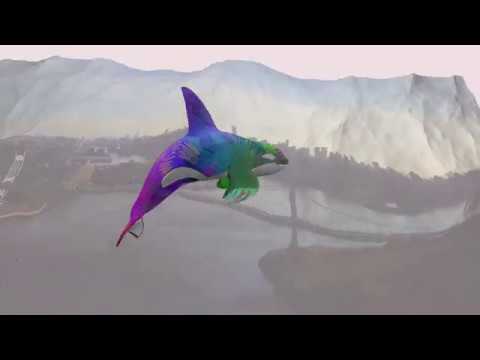 My dream and Whale's dream