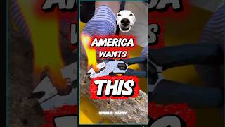 This thing is a MASTER CODE #shorts #technology #technologia