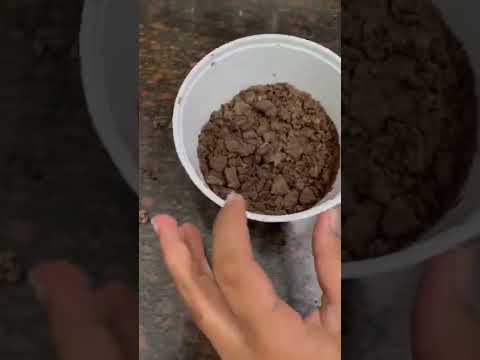 2 mins Oreo cake || In Microwave || without Grinder|| Shriya Vlogs & Shorts