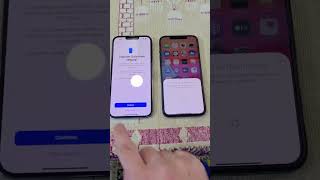 iphone to iPhone Data Transfer