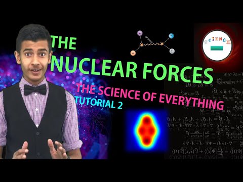 The Nuclear Force Gauge Bosons - TUTORIAL 2 | The Science of Everything