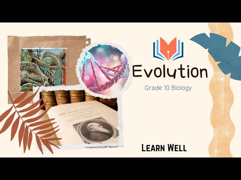 Evidence for Evolution #Evolution #EvolutionaryScience #EvolutionaryBiology | Learn Well