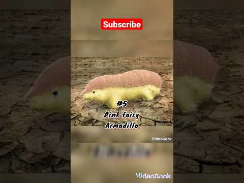 please support my youtube channel #trending #trending