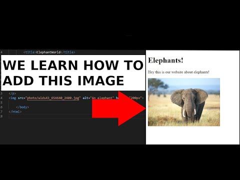 We add an Image