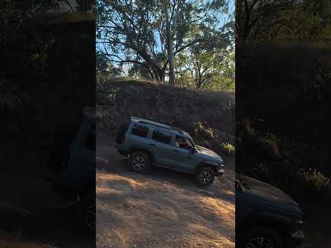 Reversing up a Hill? Tank 300! #gwm #tank300 #offroad #4x4