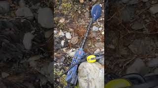 Found Another Gold Nugget!!