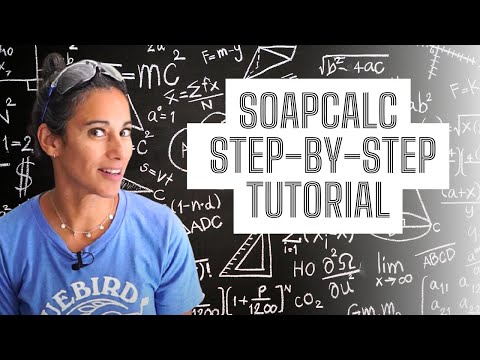 SoapCalc Tutorial - How To Use a Lye Calculator