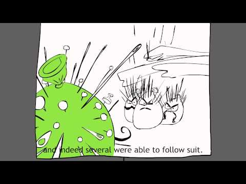 The History of Cacti