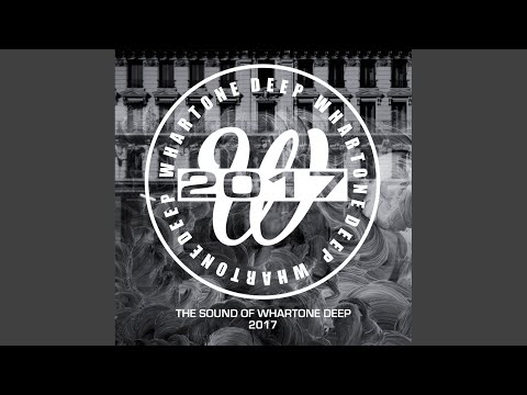 Chasing Silence (Original Mix)