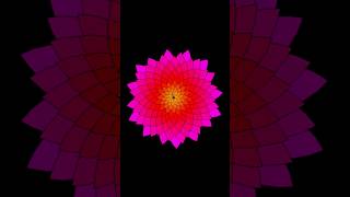 ¿Cómo dibujar una flor de loto con Python? #python #flowers #turtlepython #flores