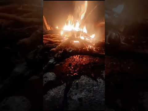 #campfire #fire  #CampFireFun
