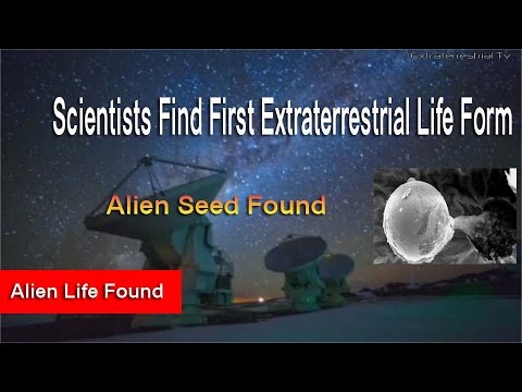 Scientists Find First Extraterrestrial Life Form - Alien Seed Found