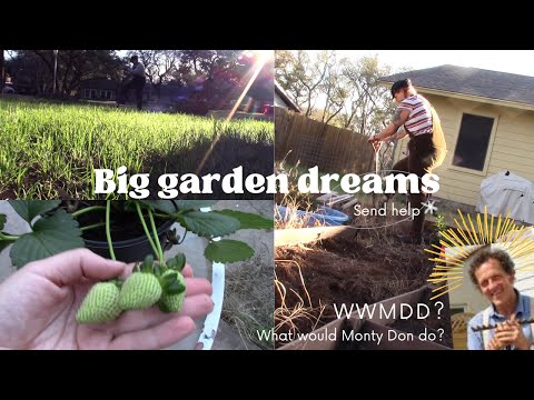 Garden prep Send help