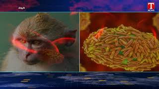 Monkeypox Virus News : కేరళలో మళ్ళీ నమోదైన మంకీపాక్స్ కేసులు | T News
