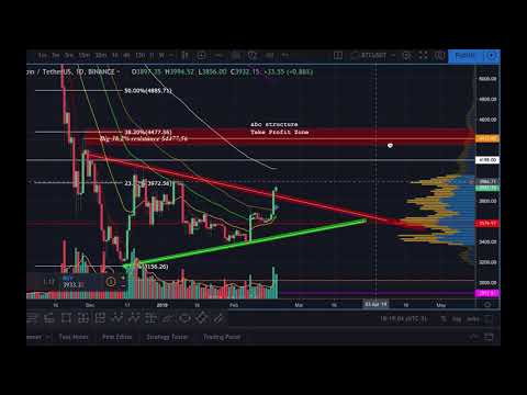 BITCOIN WILL GO DOWN (But it'll go up first!!!) (PART 1)
