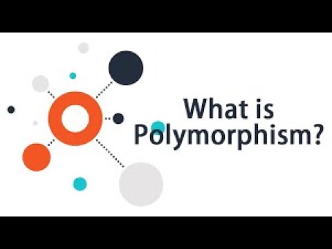Polymorphism in C++ programming concept(OOPS)