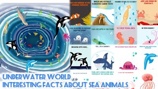 UNDERWATER WORLD - Interesting facts about sea animals... @Flutter2023