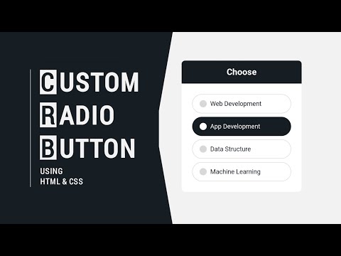 How To Make Custom Radio Button in HTML & CSS || CSS Project For Beginners - Alins Tutorial