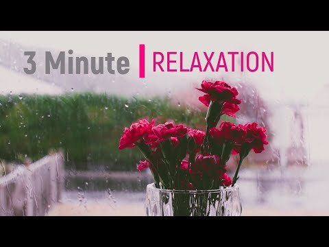 3 Minute Amazing Relaxation Music with Soft Rain Sounds
