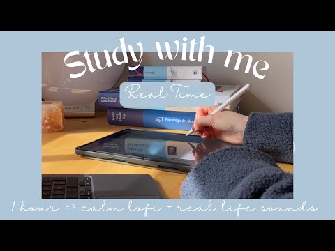 STUDY WITH ME for 1 hour 🤍 calm lofi music, no break