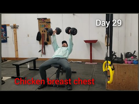 day 29 / cut day 4 / chicken breast chest