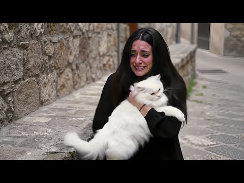 An untold story of a cat's loyalty | A story of a cat, a girl and loyalty 💔🐾