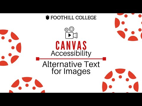 Day 7  Alternative Text