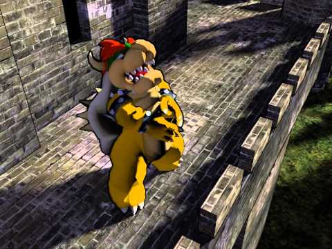 Bowser Test