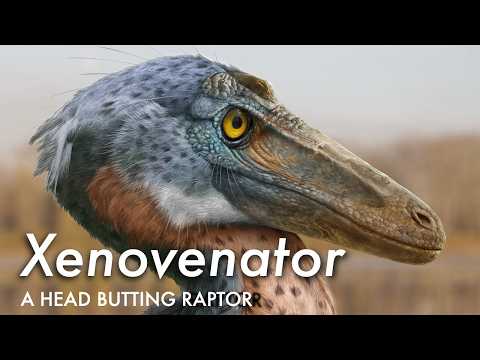 A Bizarre New Species of Head-Butting Raptor