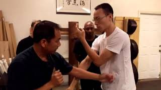 Sifu Gorden Lu Striking Strategy on Chisao 詠春黐手策略 攻擊式手法