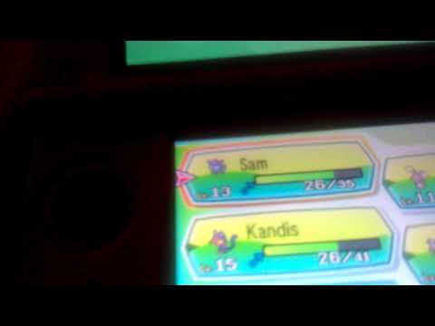 The Zorua "glitch"