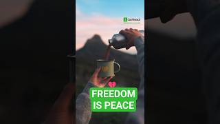 Freedom = Peace | CashSnack  #financialfreedom #money #budgeting #financehacks #finance #motivation