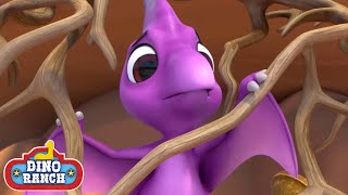 🦖 Wild Dinosaurs, Baby Eggs and More Dinosaur Cartoons for Kids | Dino Ranch Episode Compilation