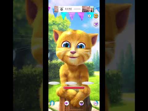Talking Ginger💛😻    #talkingginger #share #subscribe