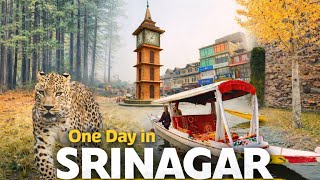 Srinagar, painted in calm, wrapped in history | 1 day trip | 2 day trip for Srinagar | Kashmir 