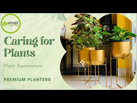 Premium Metal Planters, Flower Pot for Indoor Gardening.     #metalplanter #indoorgarden #homedecor