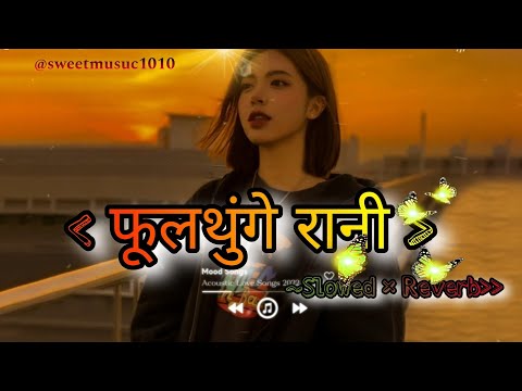 Trending Nepali Song 2025 💗💐 - Fulthunge Rani Slowed +Reverb | Sujan Chapagai | lyrics Video