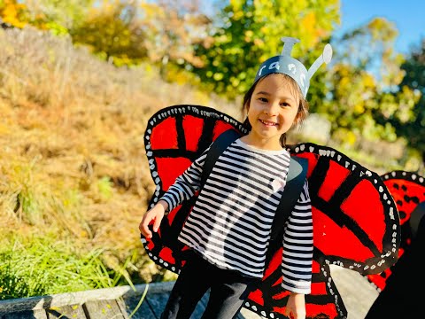 Progressive Education in The Winnetka Public Schools