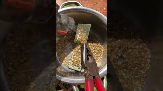 AMD Sempron Cpu processor .Removing pins For Gold Recovery . gold recovery from cpu Processors