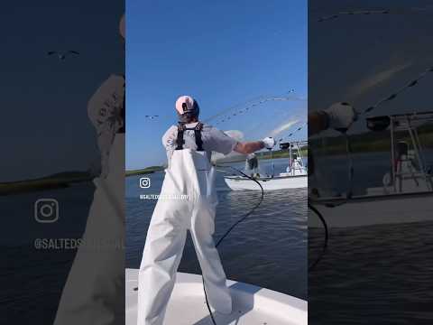 Just take me shrimping already! #coastalart #shrimp #catchingfish #followformore