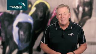 TheDogs.com.au Week In Review 23112020