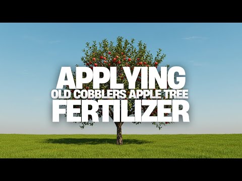 How to Feed Your Apple Trees – Deep Root Drilling with Old Cobblers Farm