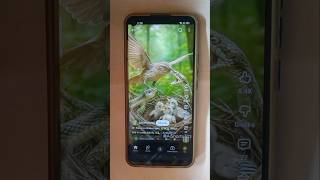 Smart Appliances!, Tools Items, New Gadgets, Versatile Utensils, #shorts #gadgets #viral #foryou